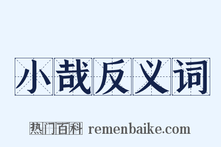 小哉反义词是什么意思的图片
